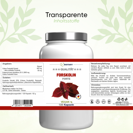 BIOTARY Forskolin Extrakt - 120 Kapseln